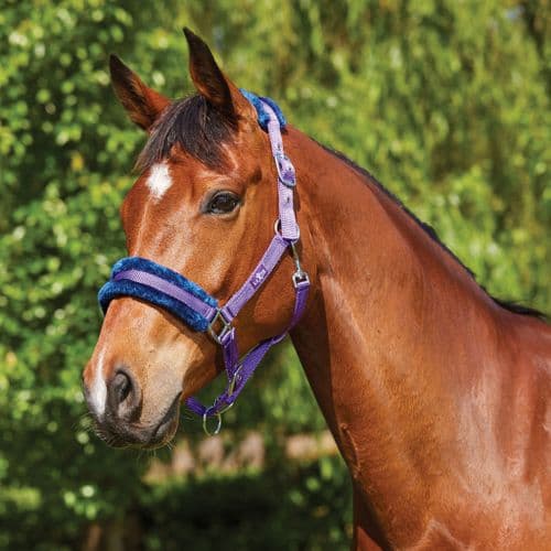 Saxon Element Fleece Headcollar