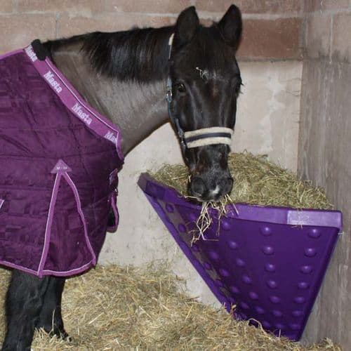 Stable Hayholder