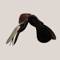 The Saddle Company Genoa Polo Saddle - Saddlemasters