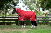 Weatherbeeta Comfitec Classic Combo Neck 50g Lite Plus - Saddlemasters