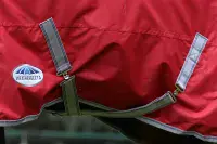 Weatherbeeta Comfitec Classic Combo Neck 50g Lite Plus - Saddlemasters