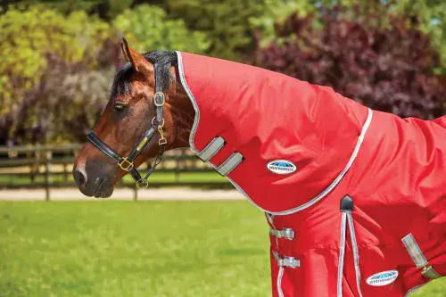 Weatherbeeta Comfitec Classic Neck Rug Lite