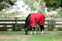 Comfitec Weatherbeeta Classic Standard Neck 50g Lite - Saddlemasters - Saddlemasters