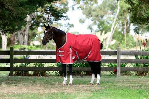 Weatherbeeta Comfitec Classic Standard Neck 50g Lite Plus Red / Silver / Navy