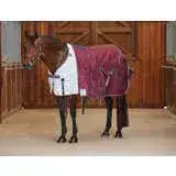 Weatherbeeta Comfitec Cotton Sheet Liner - Saddlemasters