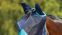 Weatherbeeta Comfitec Deluxe Fine Mesh Mask With Ears