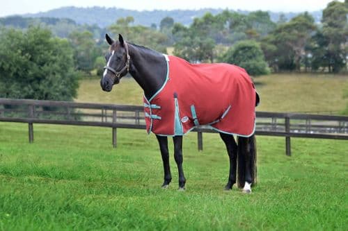 Weatherbeeta Comfitec Essential Standard Neck 50g Lite Plus
