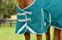 Weatherbeeta Comfitec Plus Dynamic II Detach-A-Neck Lite - Saddlemasters