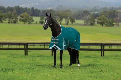 Weatherbeeta Comfitec Plus Dynamic II Detach-A-Neck Lite