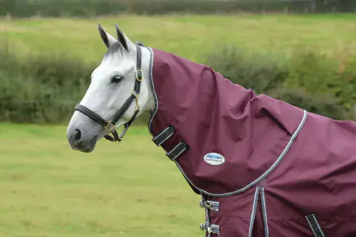 Weatherbeeta Comfitec Plus Dynamic II (Neck Only) Rug Lite