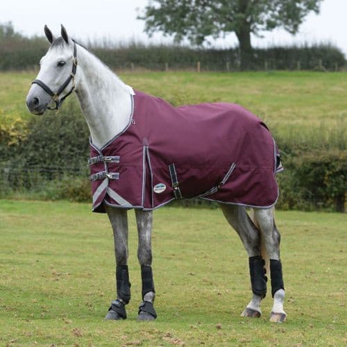 Weatherbeeta Comfitec Plus Dynamic II Standard Neck Medium/Lite Turnout Rug