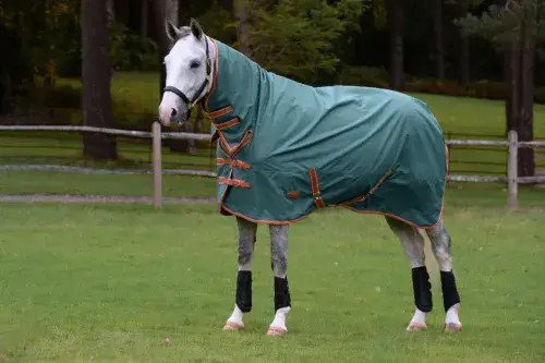 Weatherbeeta Comfitec Tyro Combo Neck Lite Plus