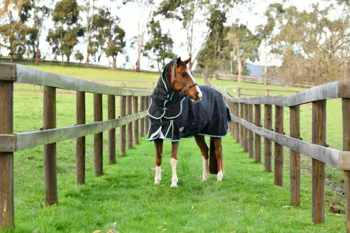 Weatherbeeta Comfitec Ultra Comfi Detach-A-Neck Medium/Lite