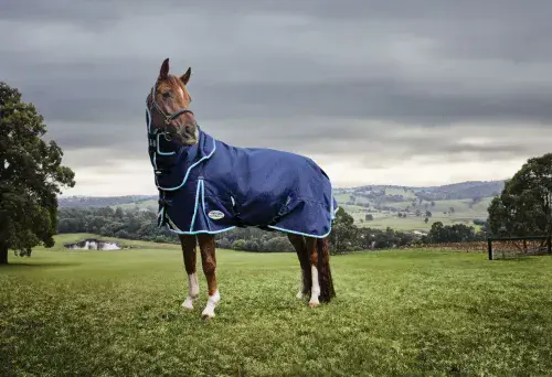 Weatherbeeta Comfitec Ultra Hardi Detach-A-Neck Medium/Lite