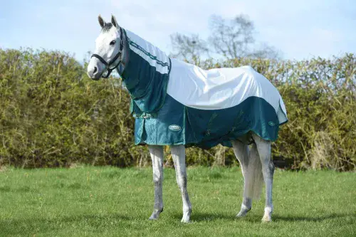 Weatherbeeta Green-Tec Airflow Mesh Combo Neck