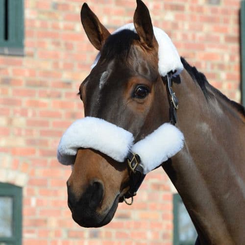 Weatherbeeta Merino Sheepskin Headcollar Set 4 Piece