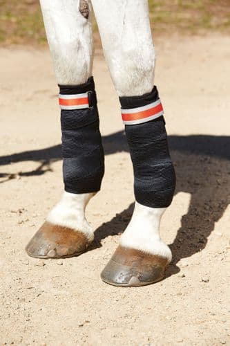 Weatherbeeta Therapy-Tec Support Bandages