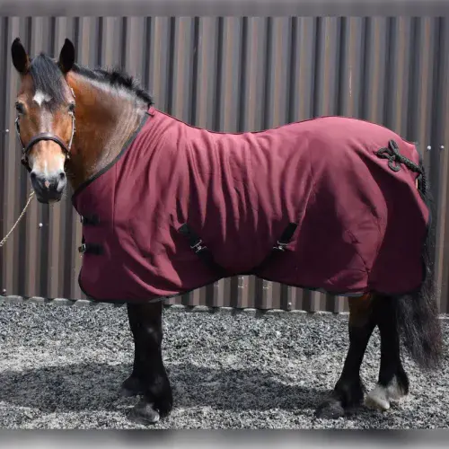 Whitaker Bilbao Bonded Fleece Rug in Burgundy