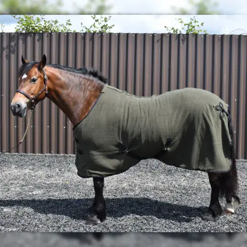 Whitaker Bilbao Bonded Fleece Rug in Olive