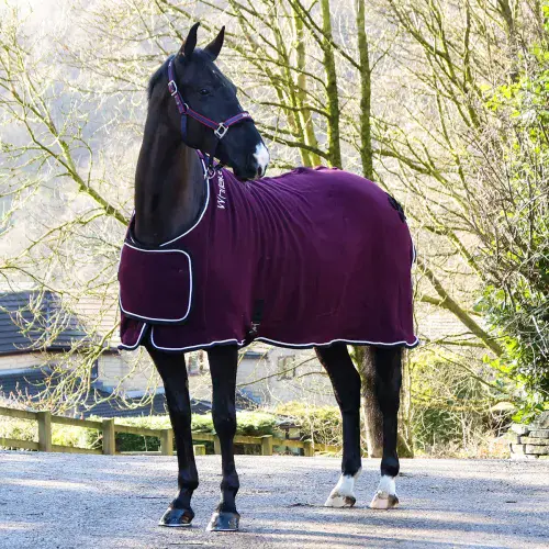 Whitaker Club Show Rug in Burgundy