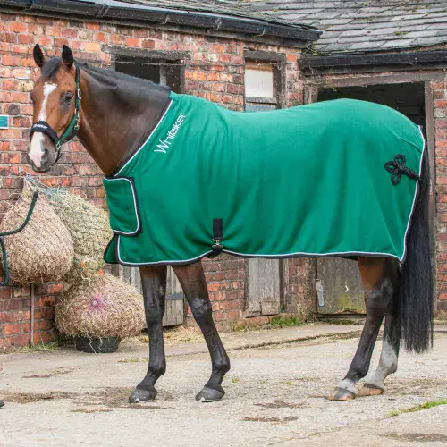 Whitaker Club Show Rug in Green