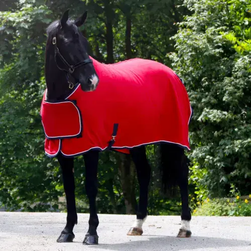 Whitaker Club Show Rug in Red