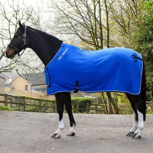 Whitaker Club Show Rug in Royal Blue
