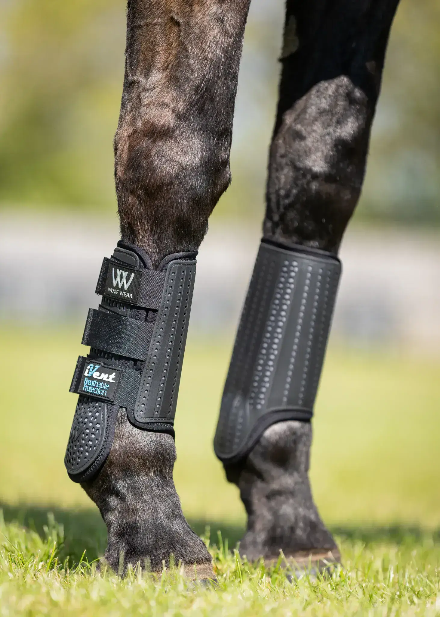 Woof Wear iVent Event Boot Front