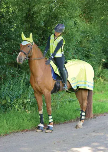 Woof Wear Winter Hi Vis Exercise Sheet