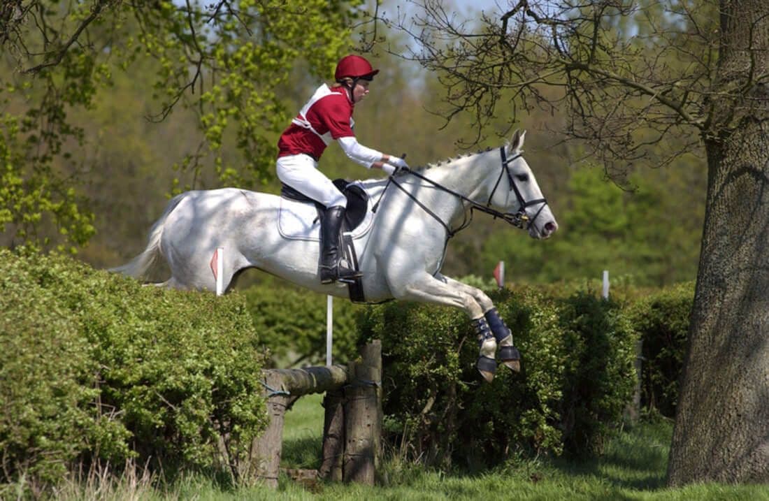 Cross-Country eventing horse and rider