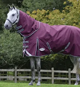 Weatherbeeta Horse Rug