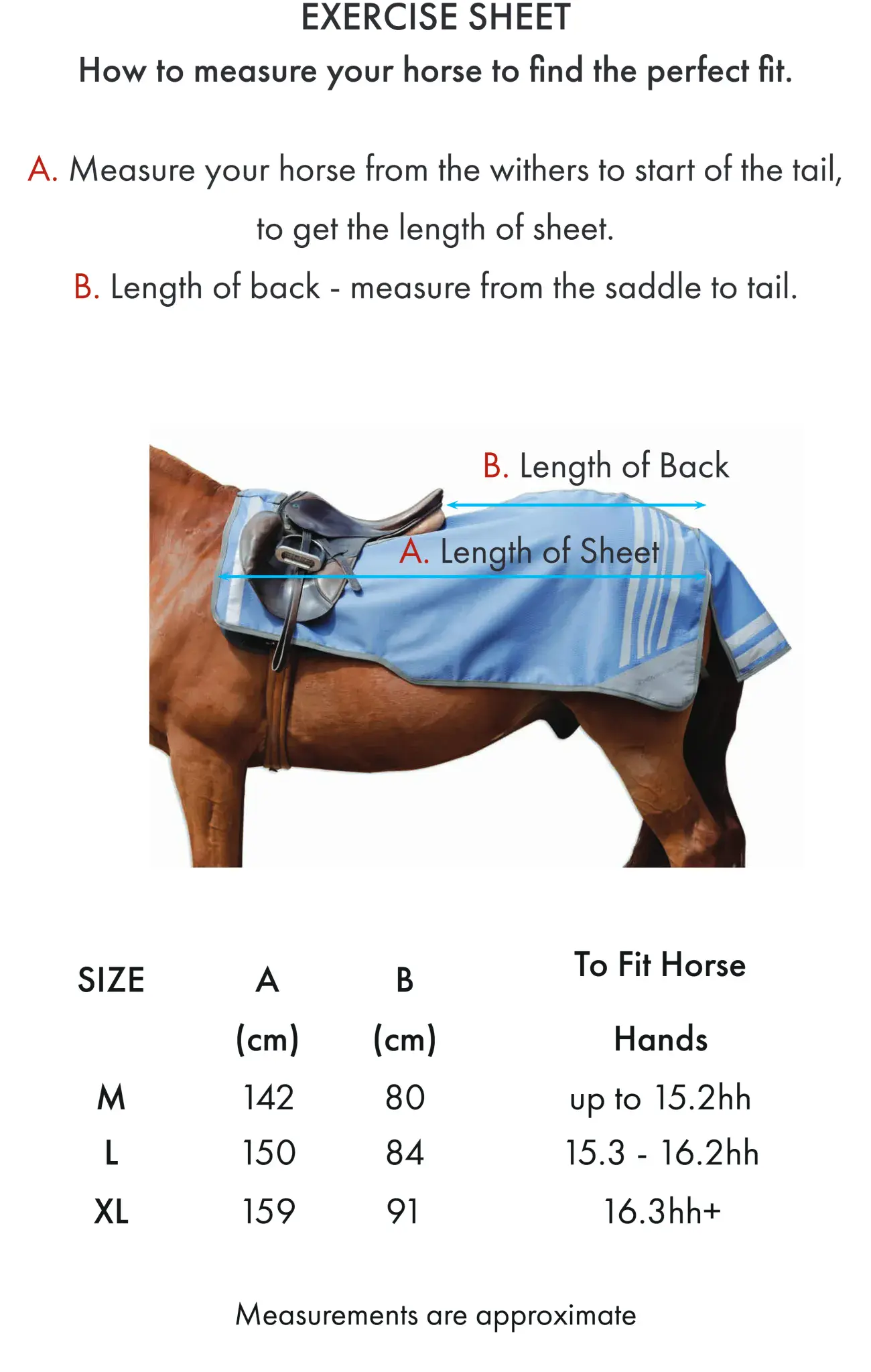 Premier Equine Horse Exercise Sheet Size Chart