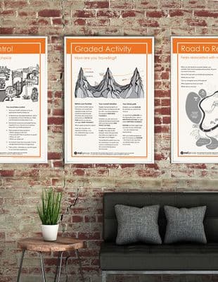 Explain Pain Poster Set