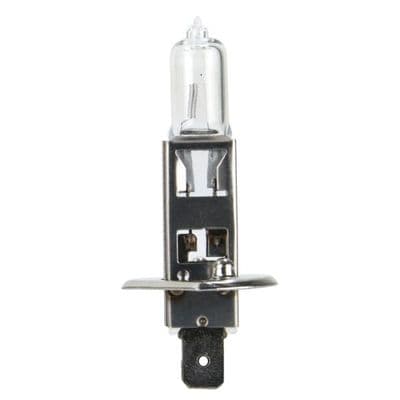 H1 Halogen Bulb - 12V / 55W