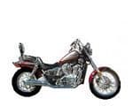 Honda VT 800 Shadow Service Kits