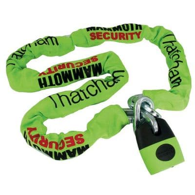 Mammoth Security - Lock and Chain