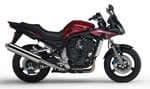Yamaha FZS 1000 Fazer Service Kits