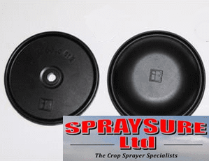 Bertolini Pump Diaphragm