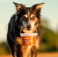 Anco Nibbles - Salmon Training Treats