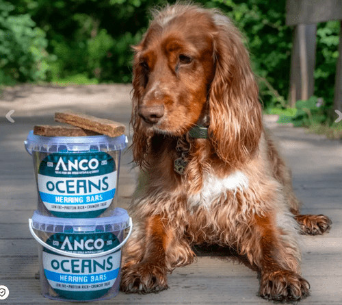 Anco Oceans Herring Bars 12 Pack