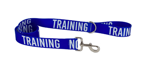 Ancol 'TRAINING' Blue Caution Lead - 150mm x 40mm