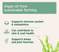 Aniforte Algae Oil