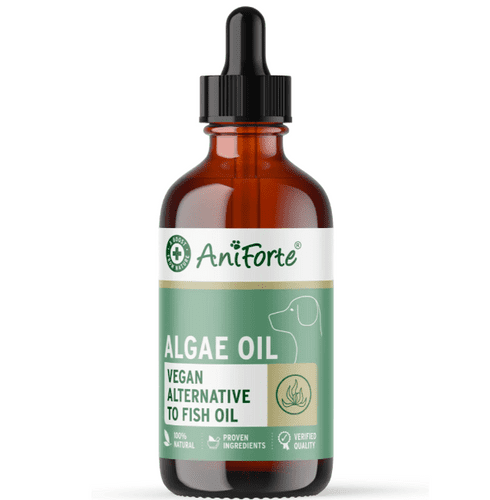 Aniforte Algae Oil