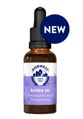 Arnica 15C - Dorwest Herbs