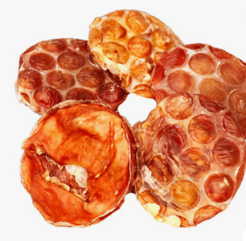 Beef Disc - Jr Pet Products