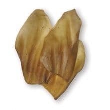 Calf Ears