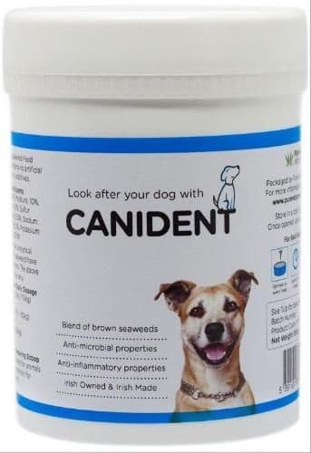 Canident - Seaweed Supplement