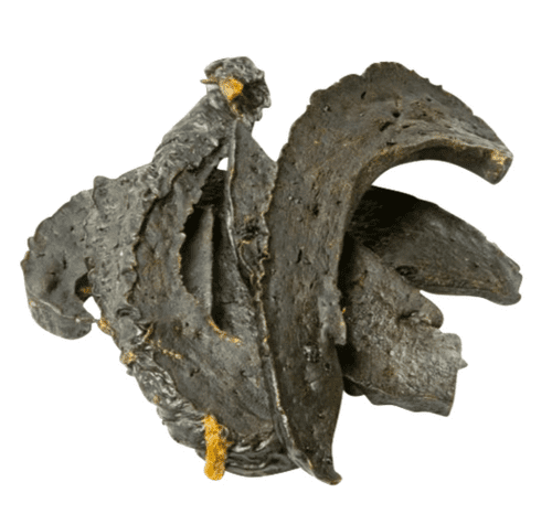 Dried Liver
