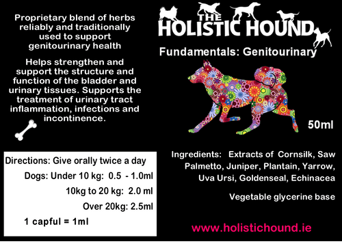 Fundamentals Genitourinary - Holistic Hound