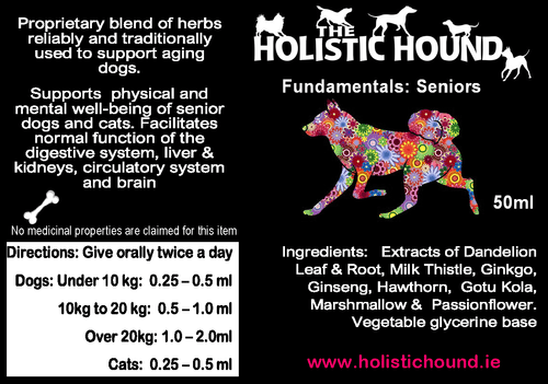Fundamentals Seniors - Holistic Hound